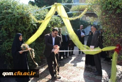 جشنواره غذای سالم