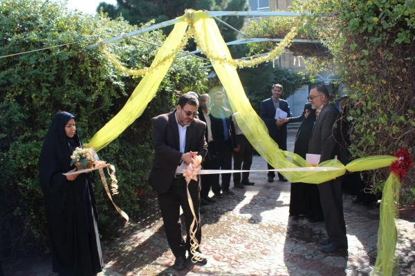 جشنواره غذای سالم