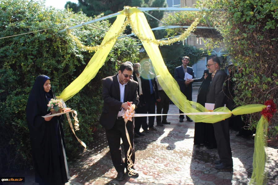 جشنواره غذای سالم