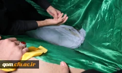 تشییع و تدفین شهید گمنام هشت سال دفاع مقدس در پردیس آیت الله طالقانی(ره) 7