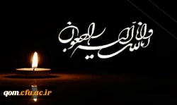 پیام دکتر موسوی در پی درگذشت والده همسر دکتر امدادی 2